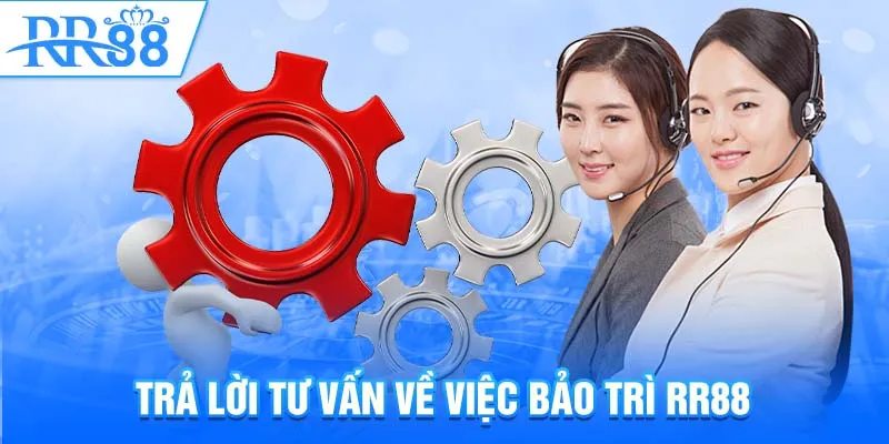 Trả lời tư vấn về việc bảo trì RR88